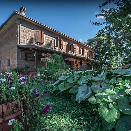 Villa Bio Agriturismo Aia Del Tufo Sorano  Exterior foto