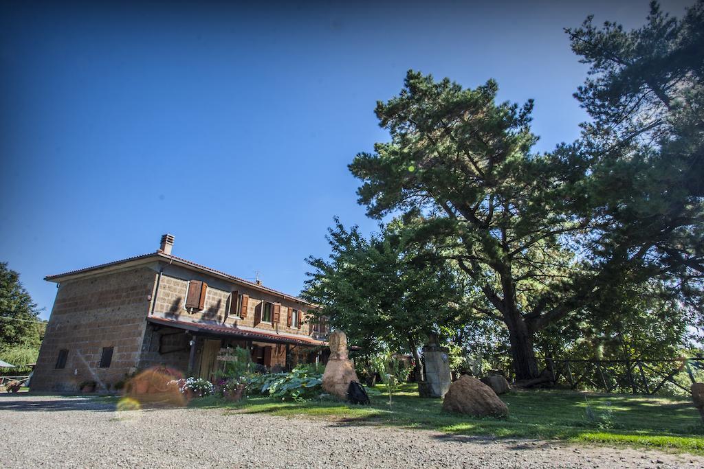 Villa Bio Agriturismo Aia Del Tufo Sorano  Exterior foto