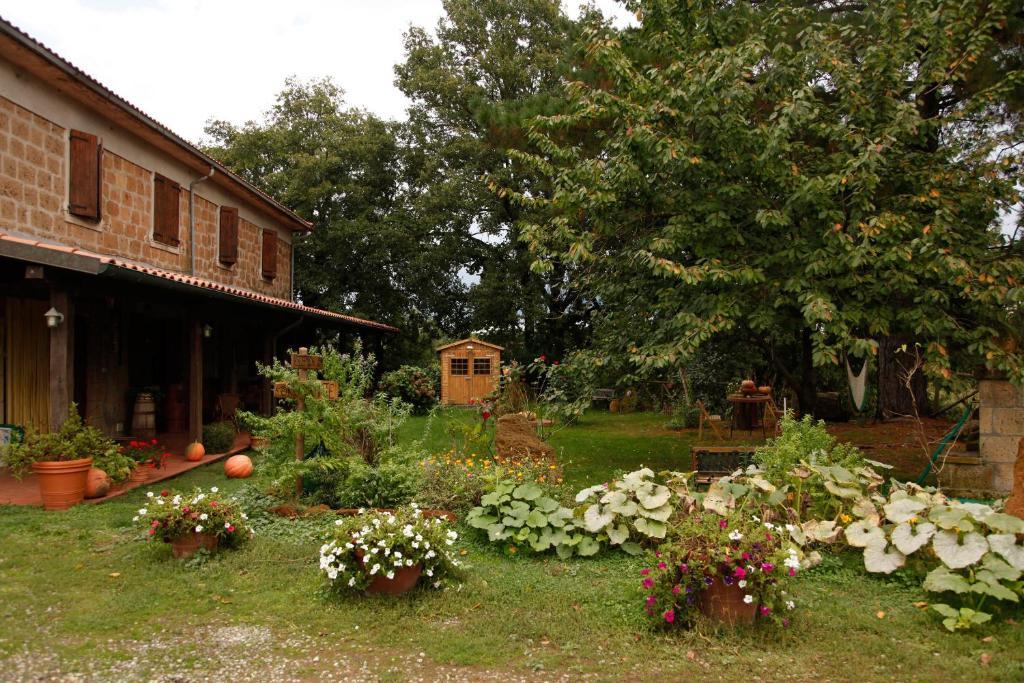 Villa Bio Agriturismo Aia Del Tufo Sorano  Exterior foto