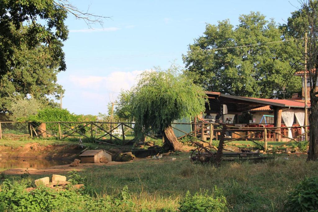 Villa Bio Agriturismo Aia Del Tufo Sorano  Exterior foto